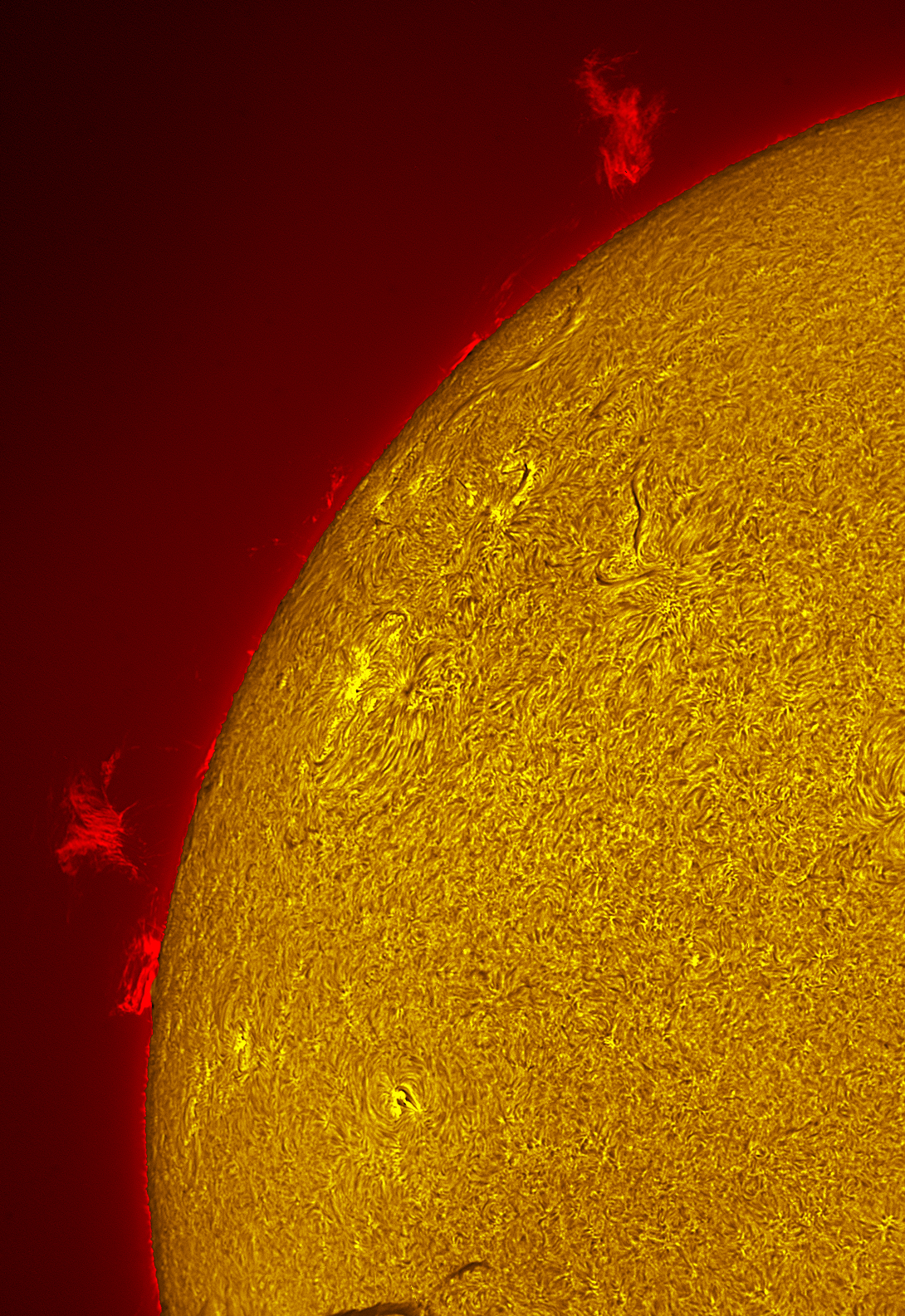 Solar Prominences 05/17/26