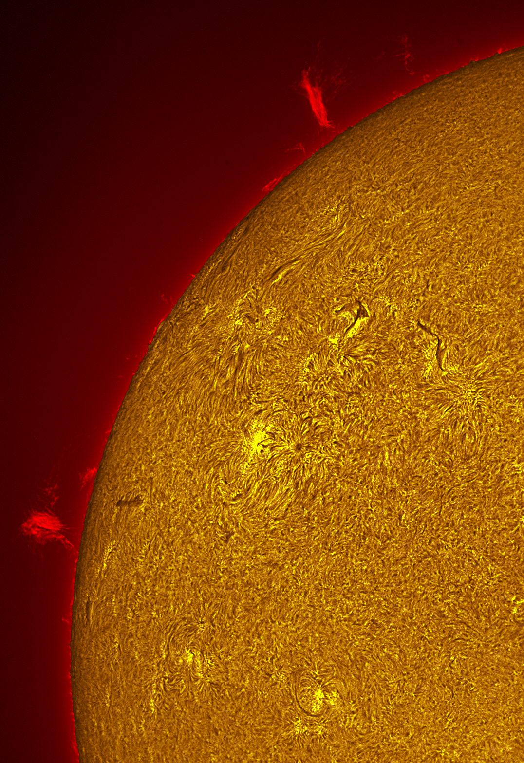 Solar Prominences 05/18/26