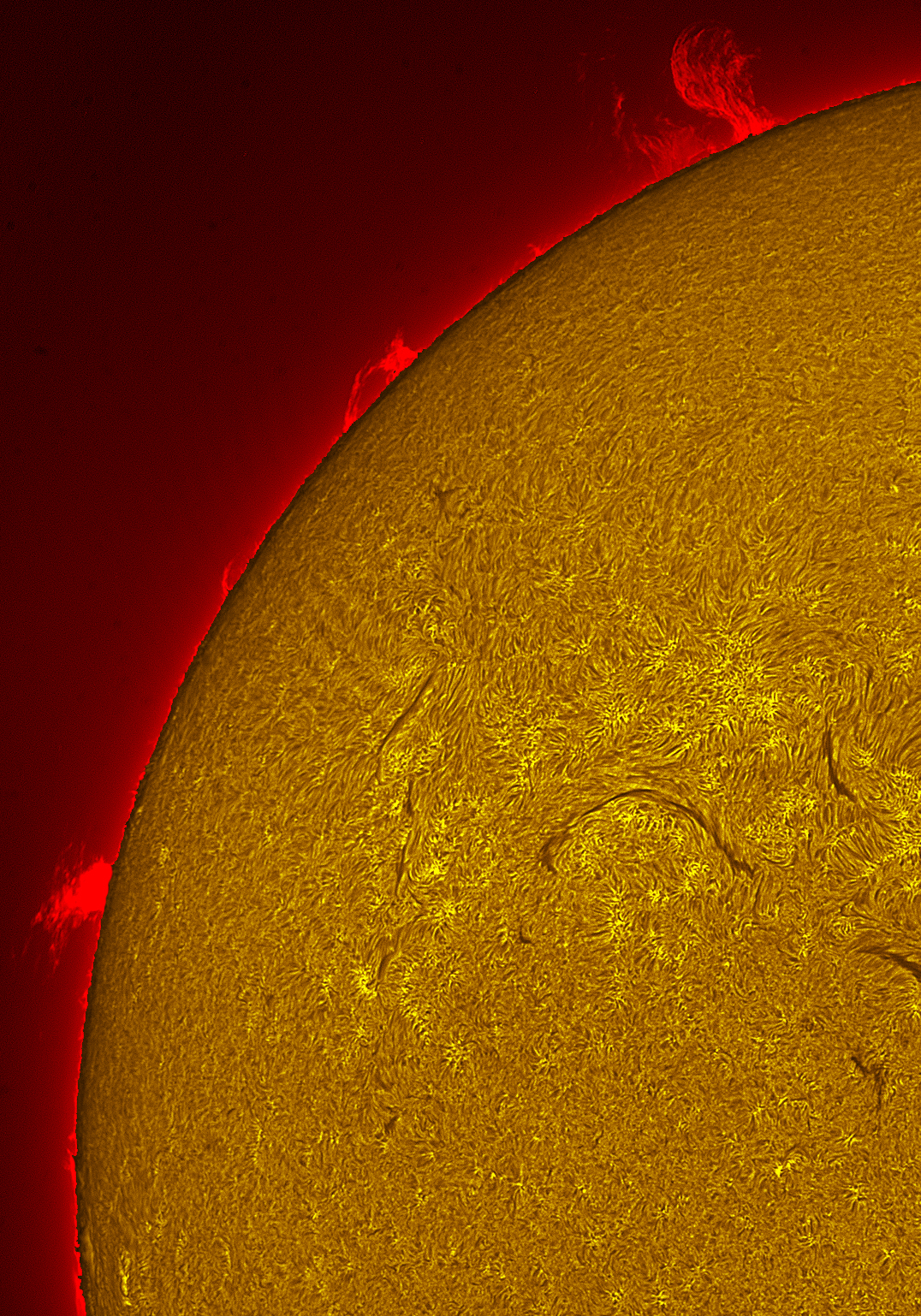 Prominence in h-alpha 07/01/26