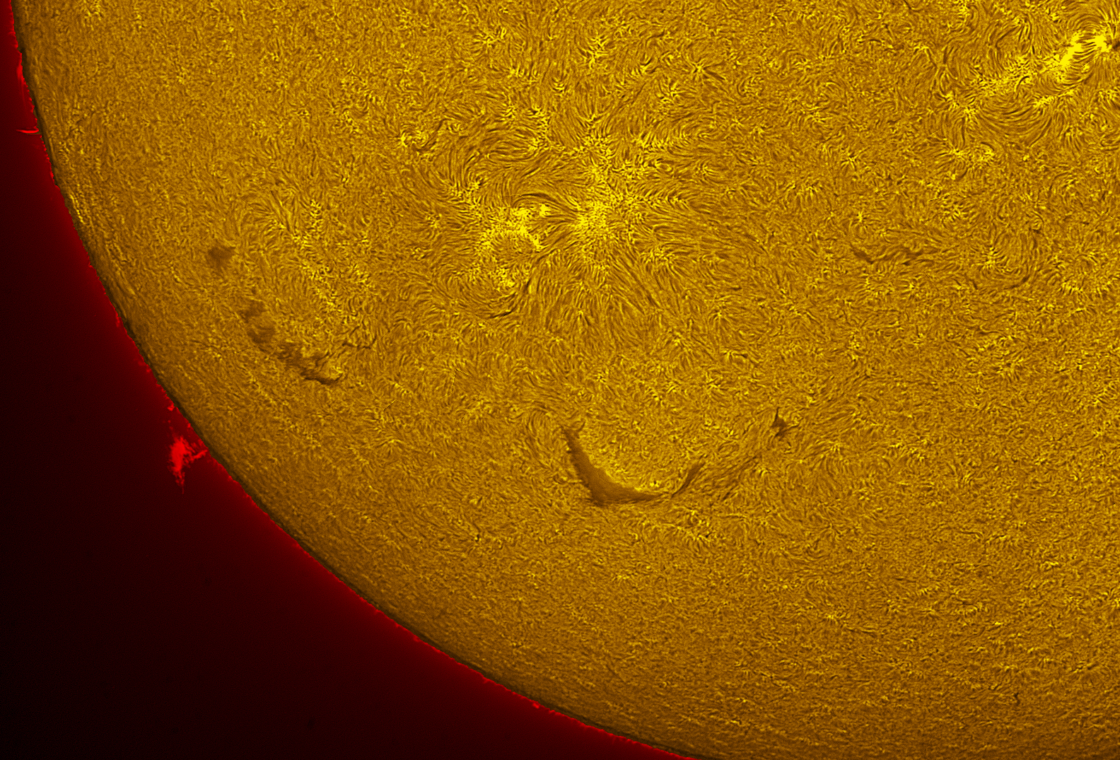 Prominence in h-alpha 07/31/26