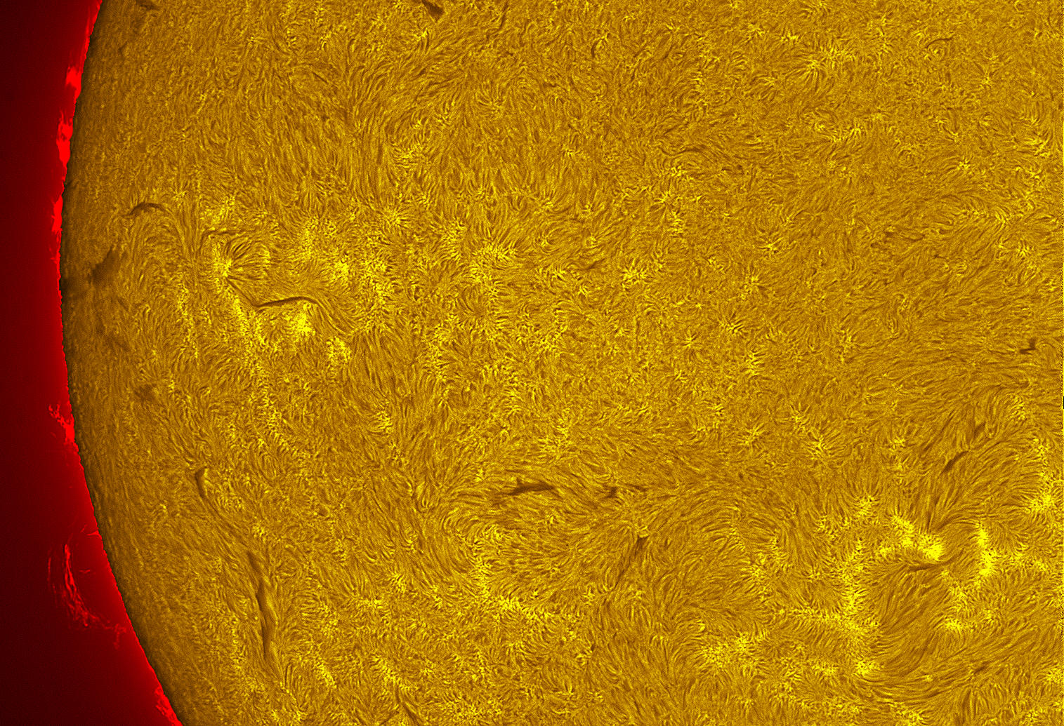 Solar prominence in h-alpha 08/18/26
