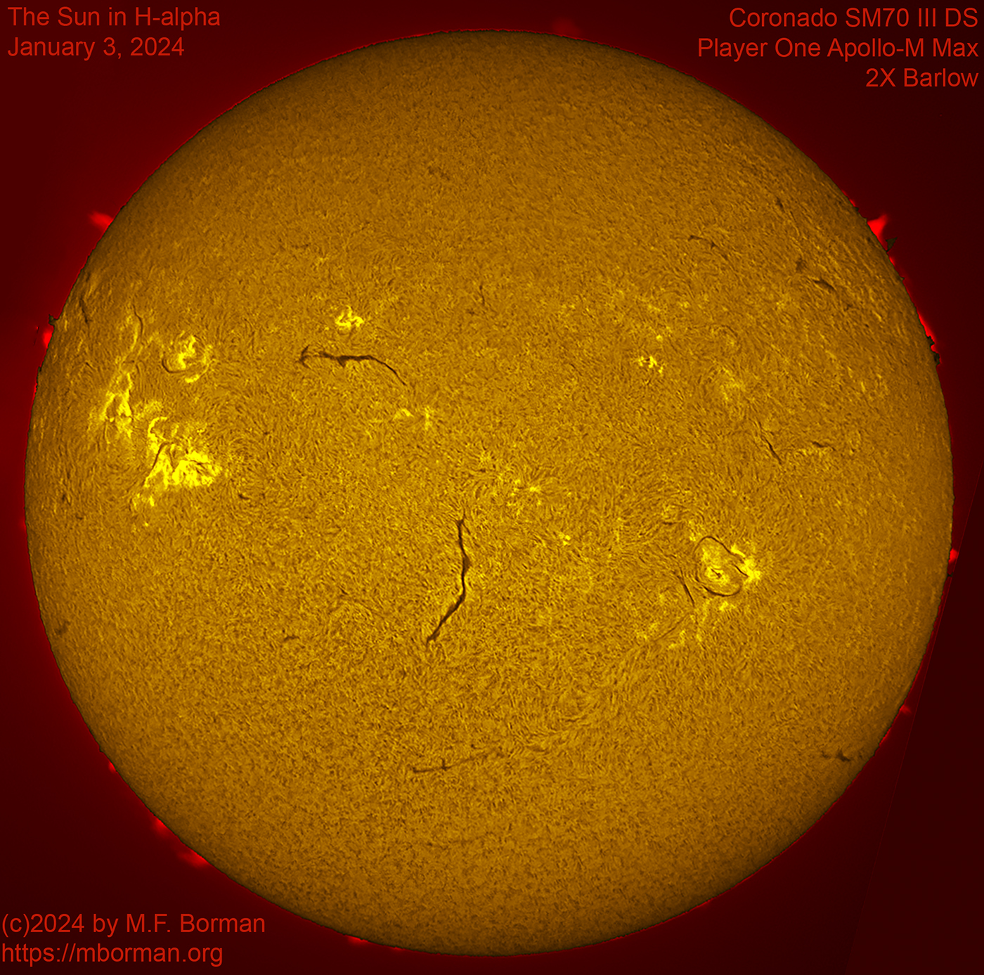 Solar disk in h-alpha 01/03/2024
