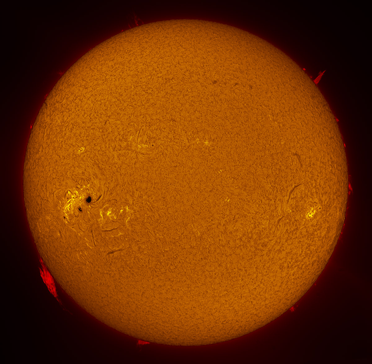 Solar Disk in h-alpha 01/04/2014