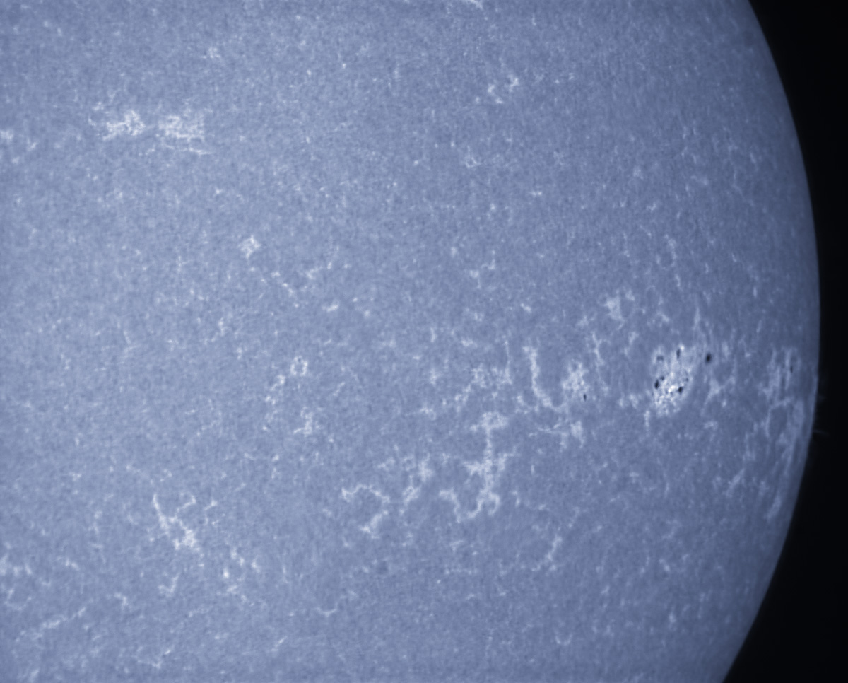 Sunspot 1937 in CaK 01/04/2014