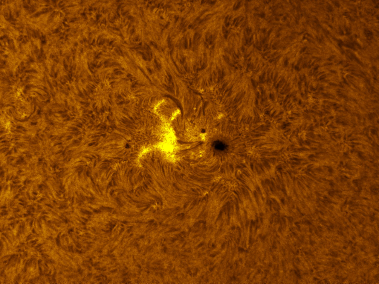 Sunspot 1391 in h-alpha 01/08/2012