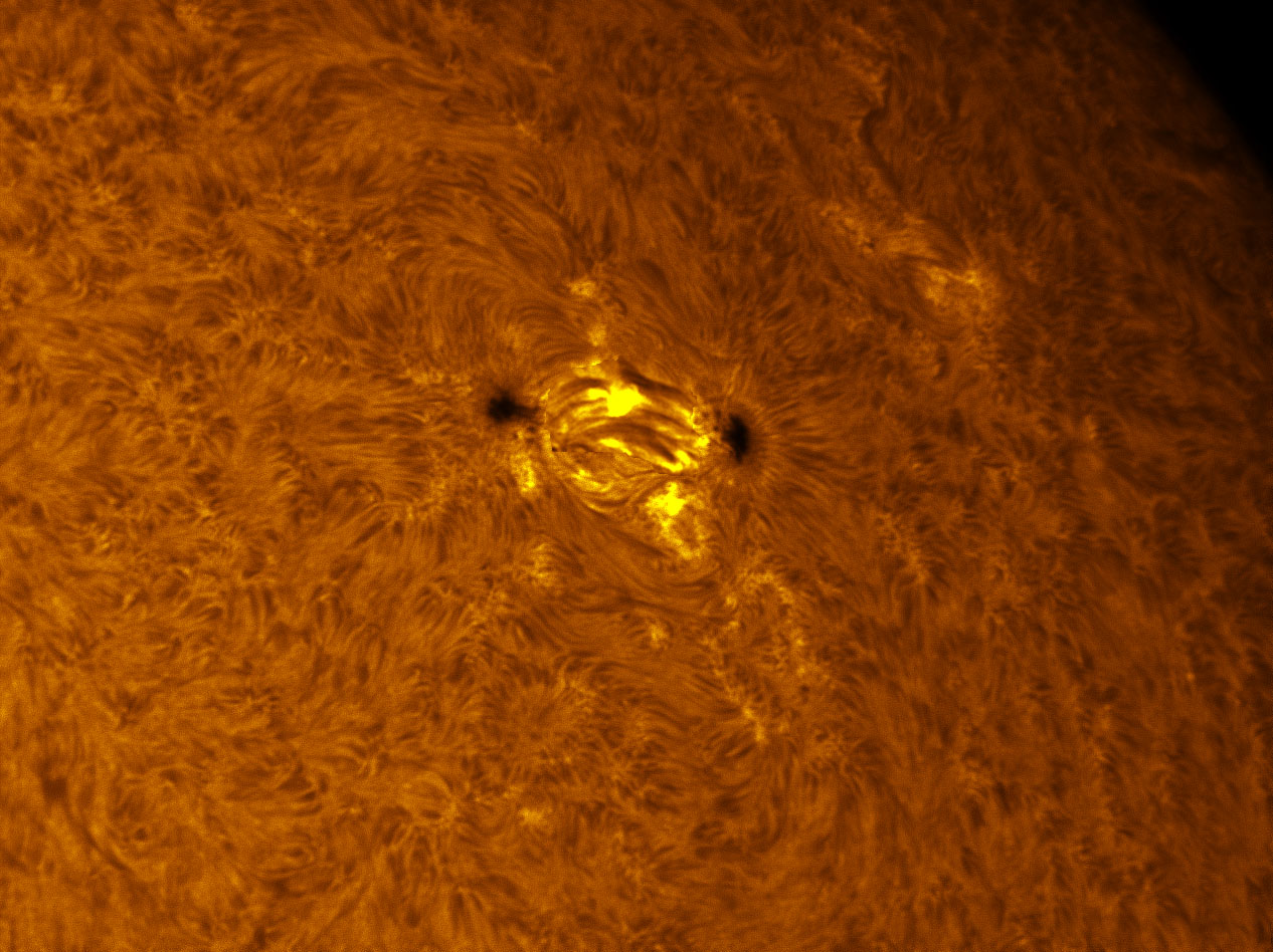 Sunspot 1393 in h-alpha 01/08/2012