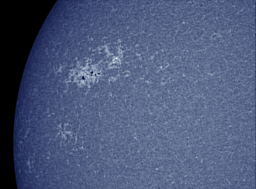 Sunspot 1040 in CaK 1/09/2010