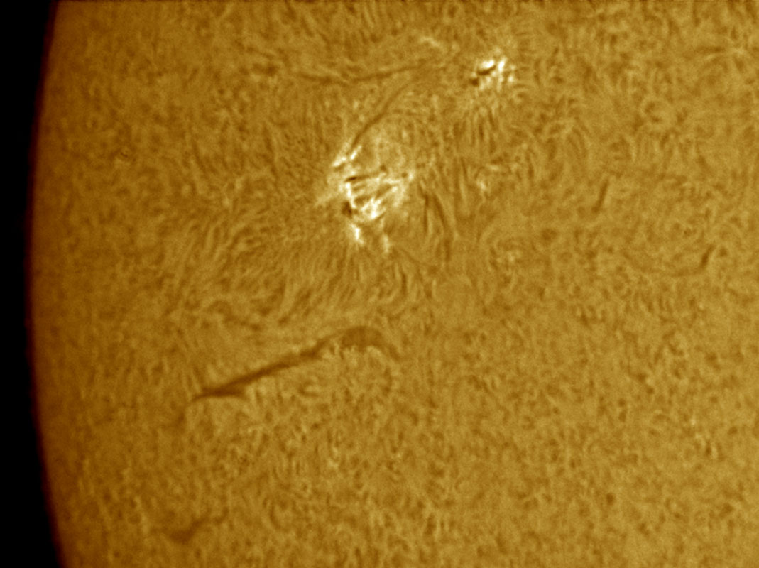 Sunspot 1040 in h-alpha 1/09/2010