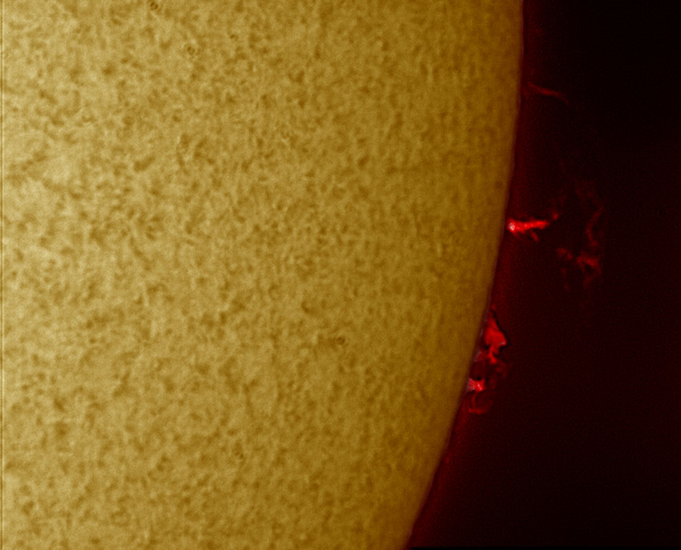 Prominence in h-alpha 1/09/2010