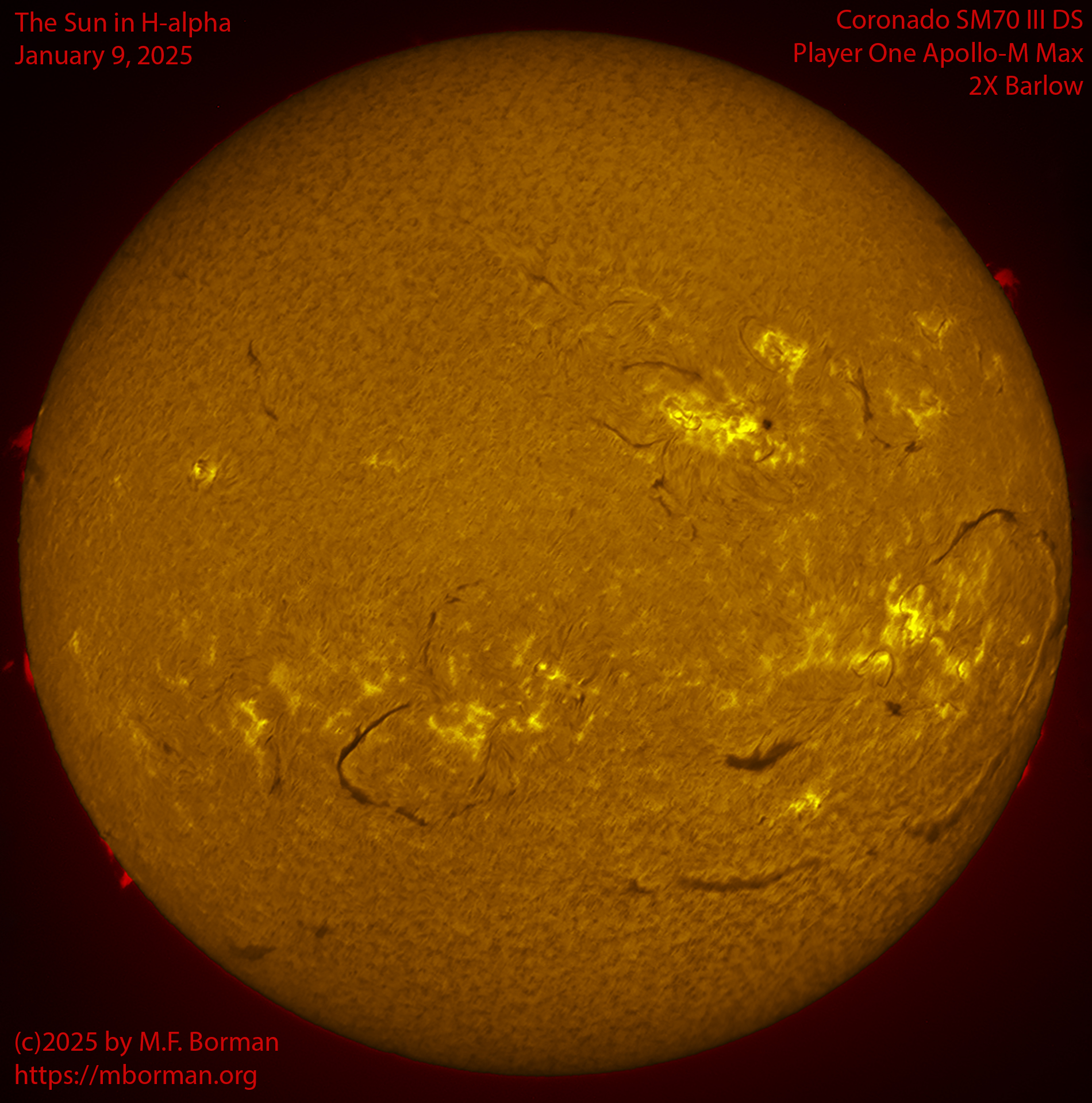 Solar image in h-alpha 01/09/25