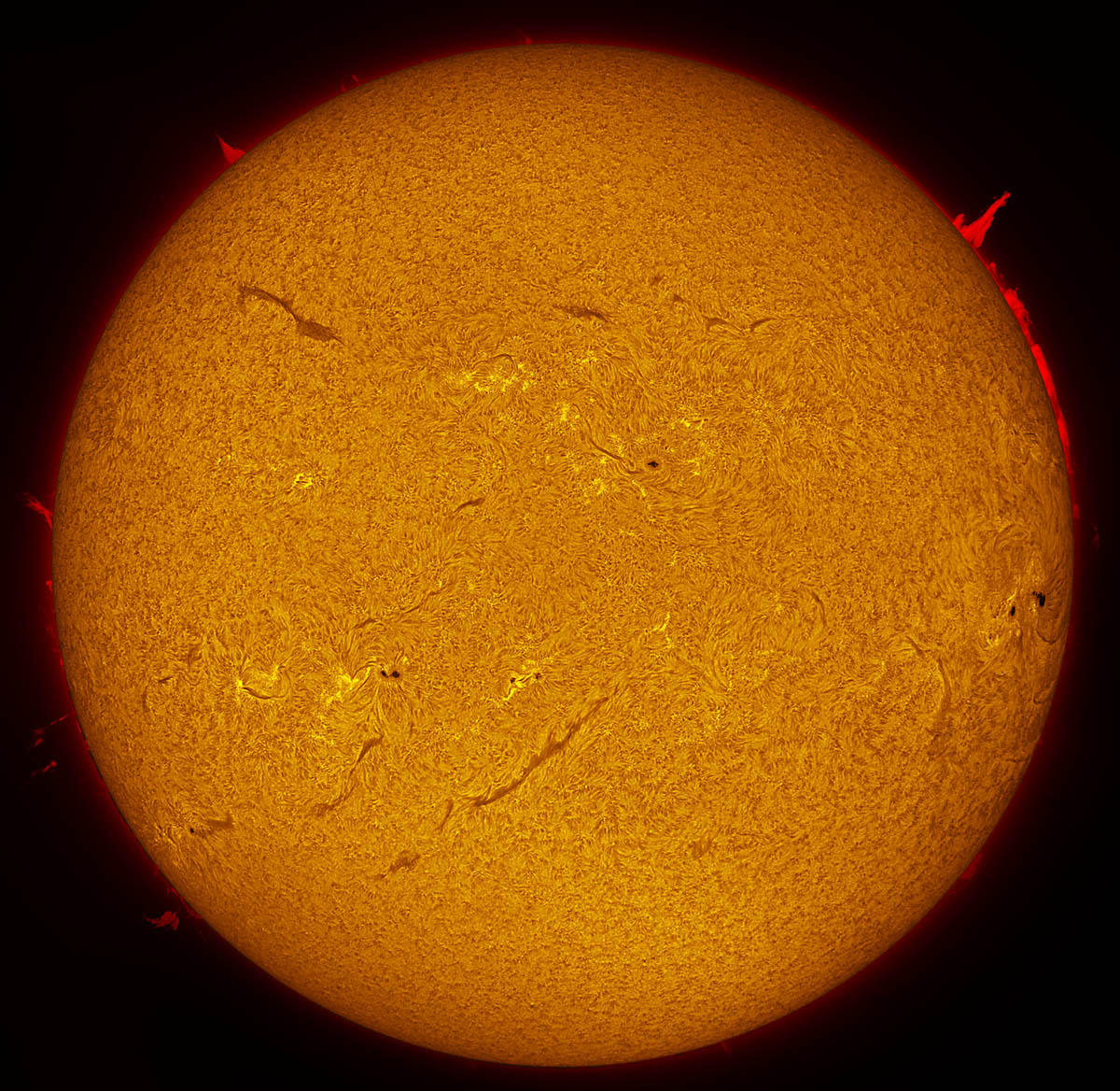 Solar Disk in h-alpha 01/12/2014