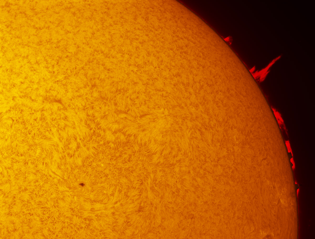 Solar prominence in h-alpha 01/12/2014
