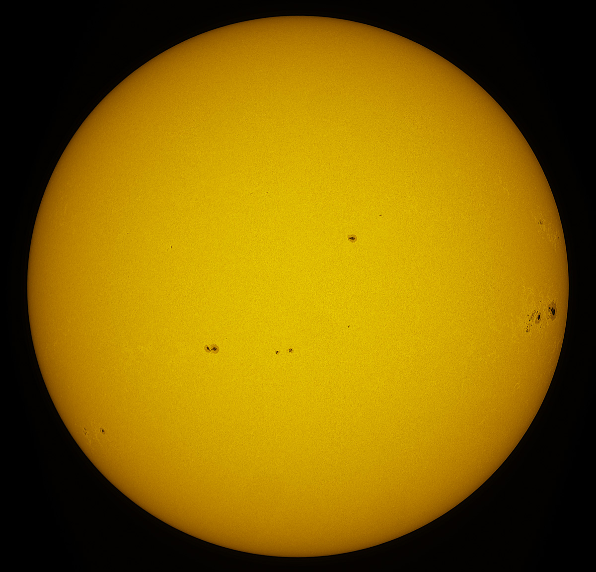 Solar Disk in white light 01/12/2014