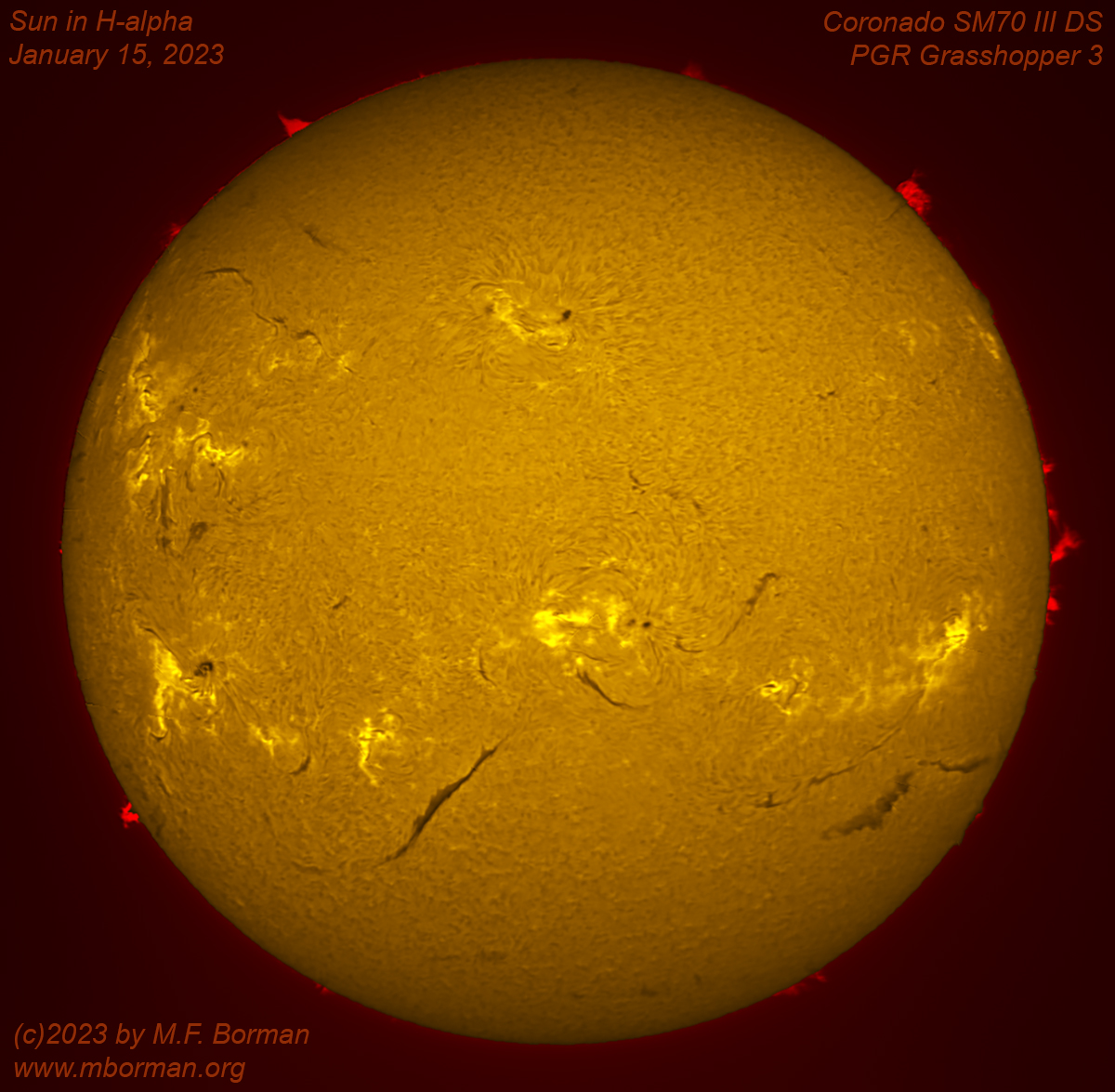 Solar disk in h-alpha 01/15/2023