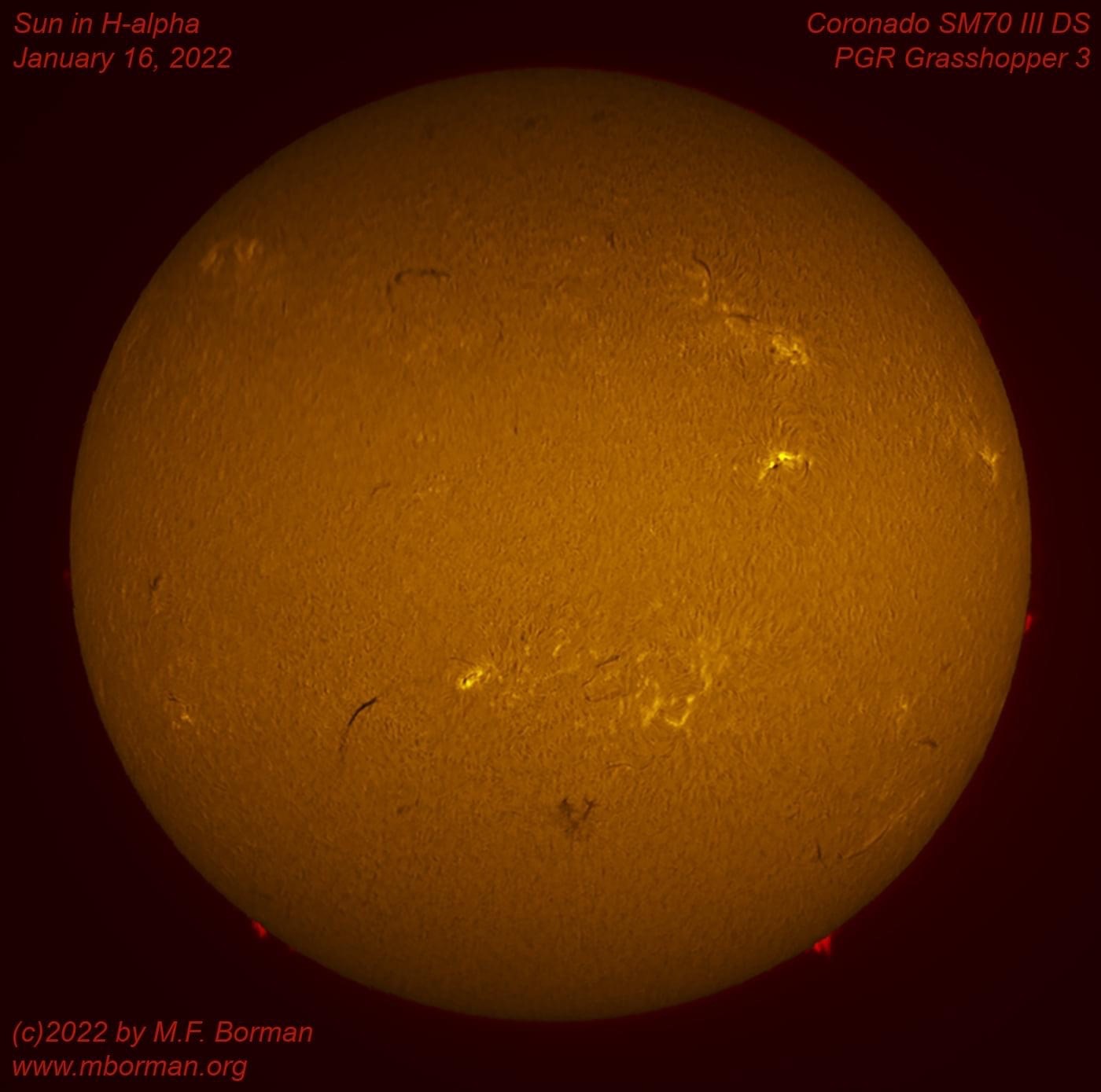 Solar disk in h-alpha 01/16/2022