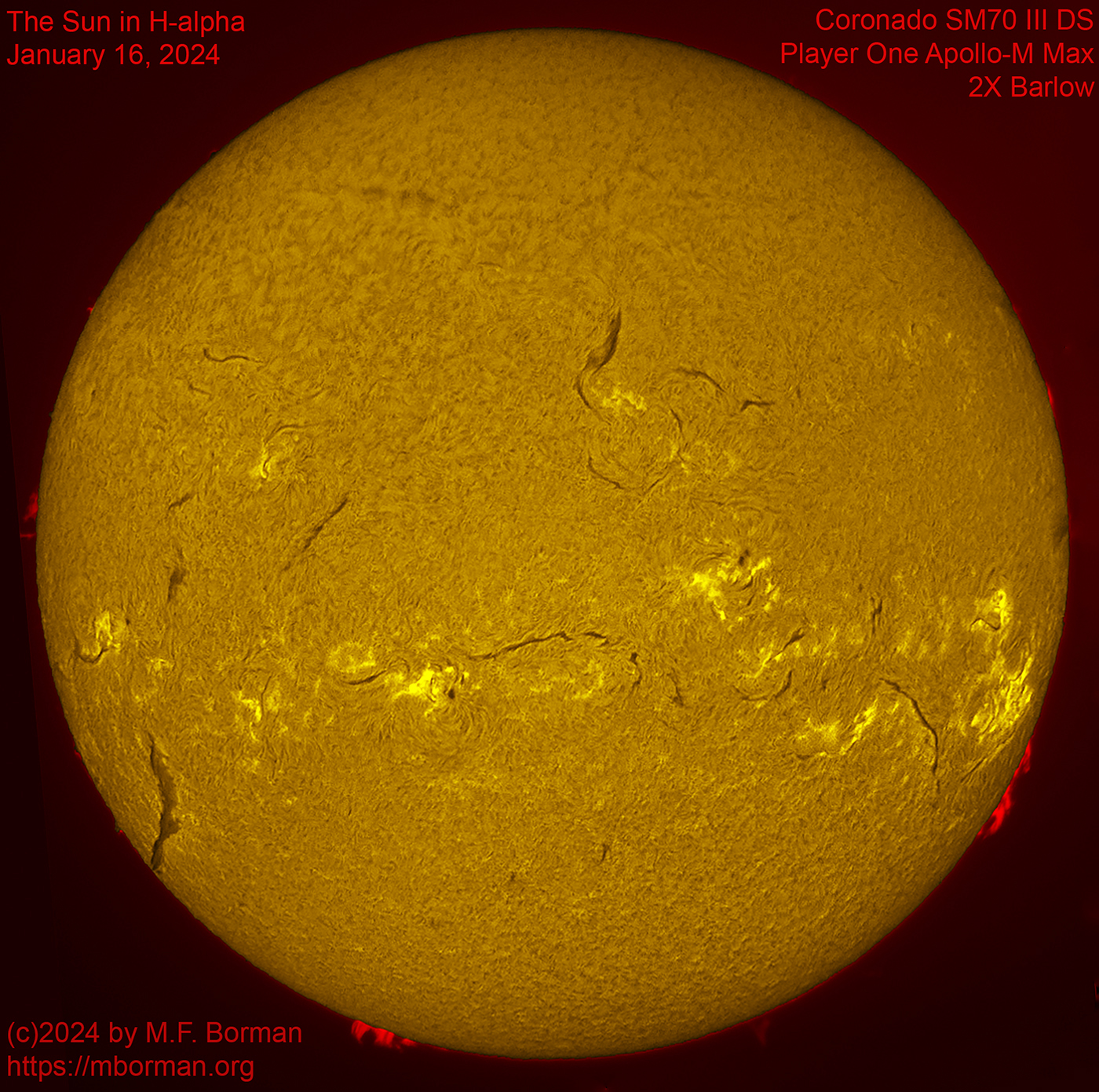 Solar image in h-alpha 01/16/2024
