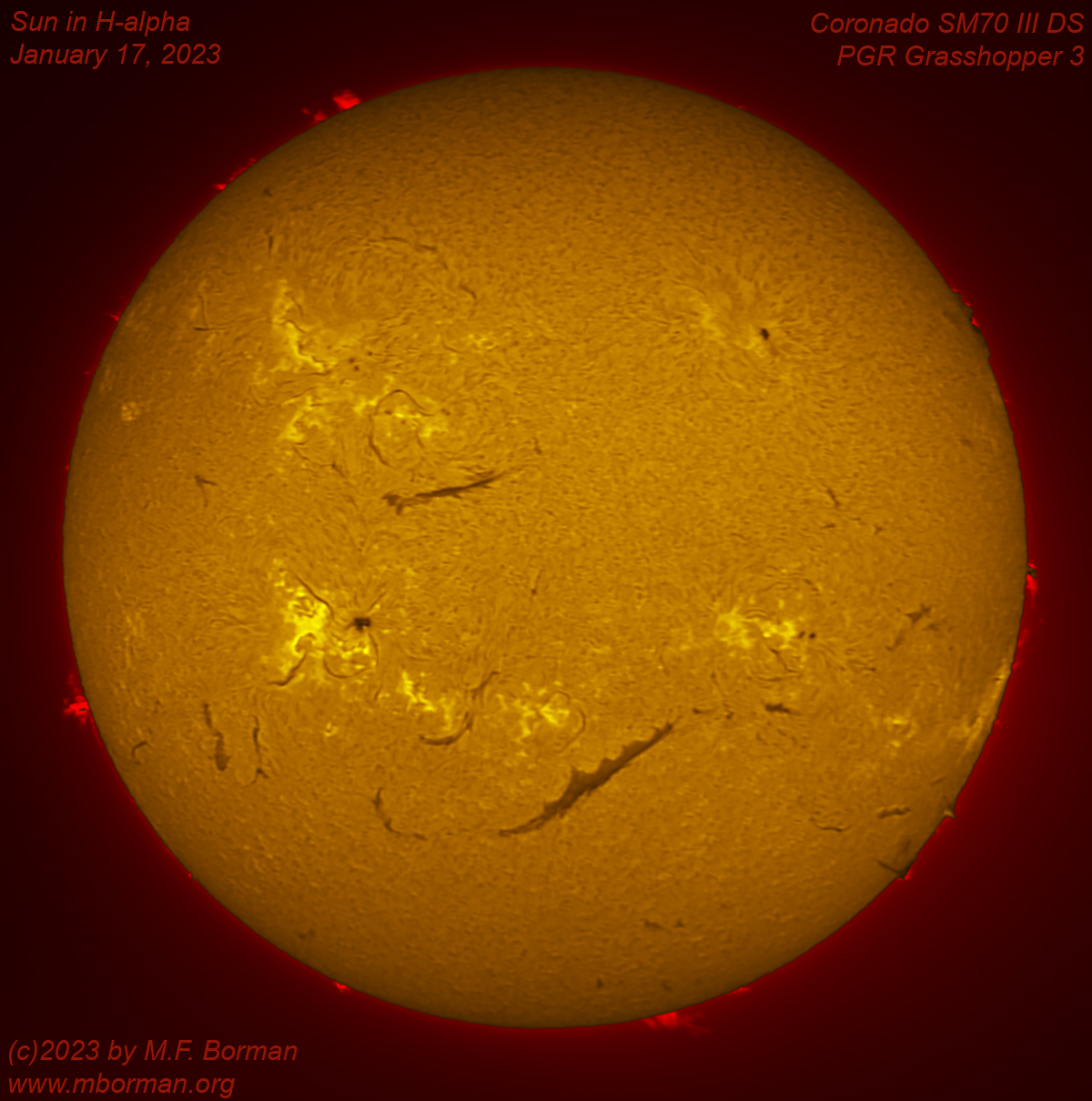 Solar disk in h-alpha 01/17/2023