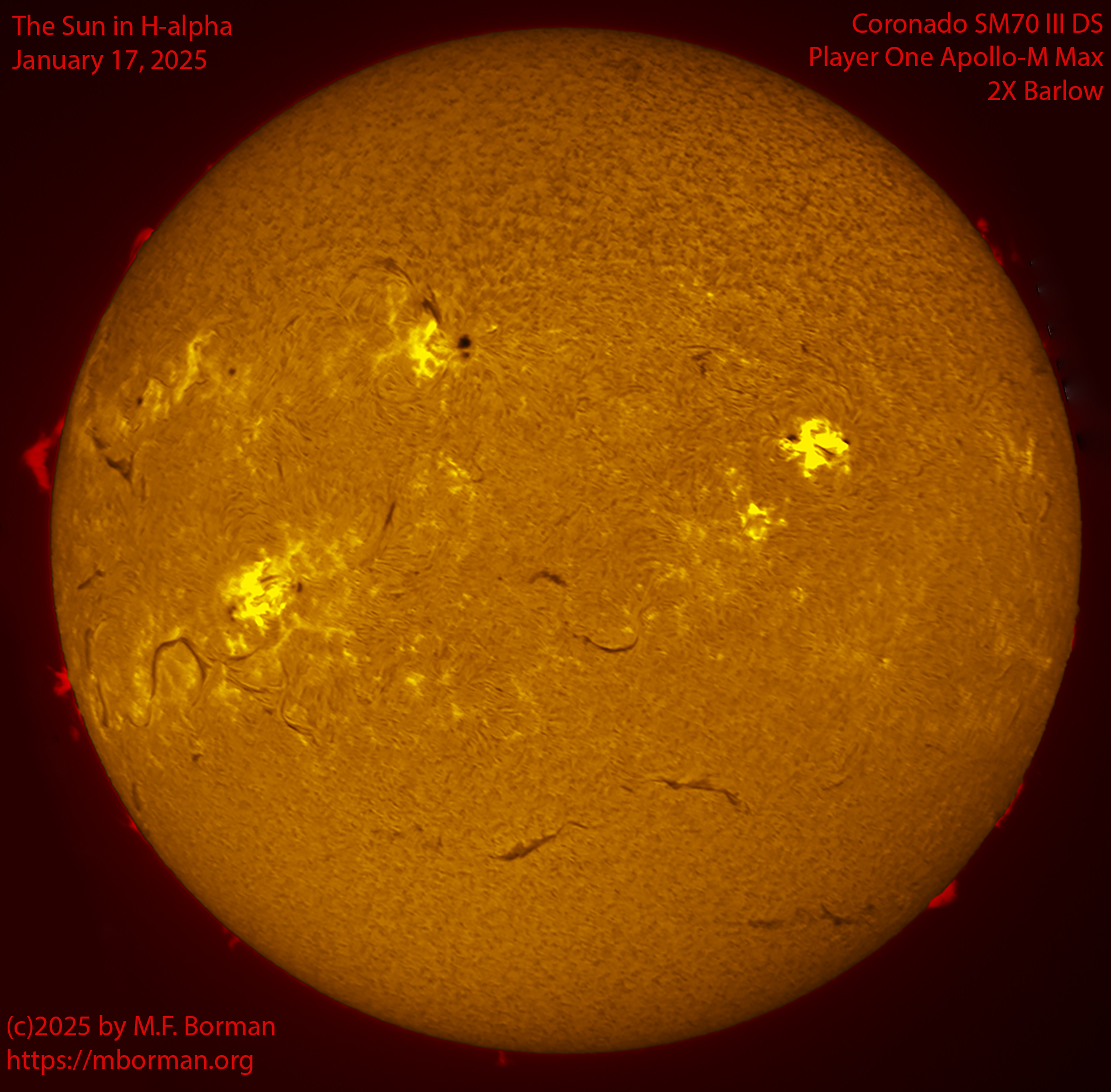 Solar image in h-alpha 01/17/25