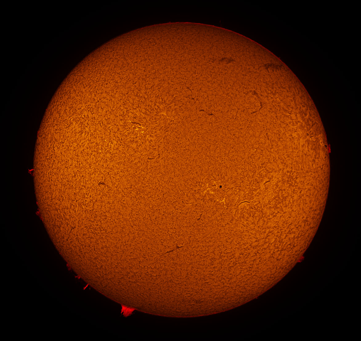 Solar Disk in h-alpha 01/19/2013
