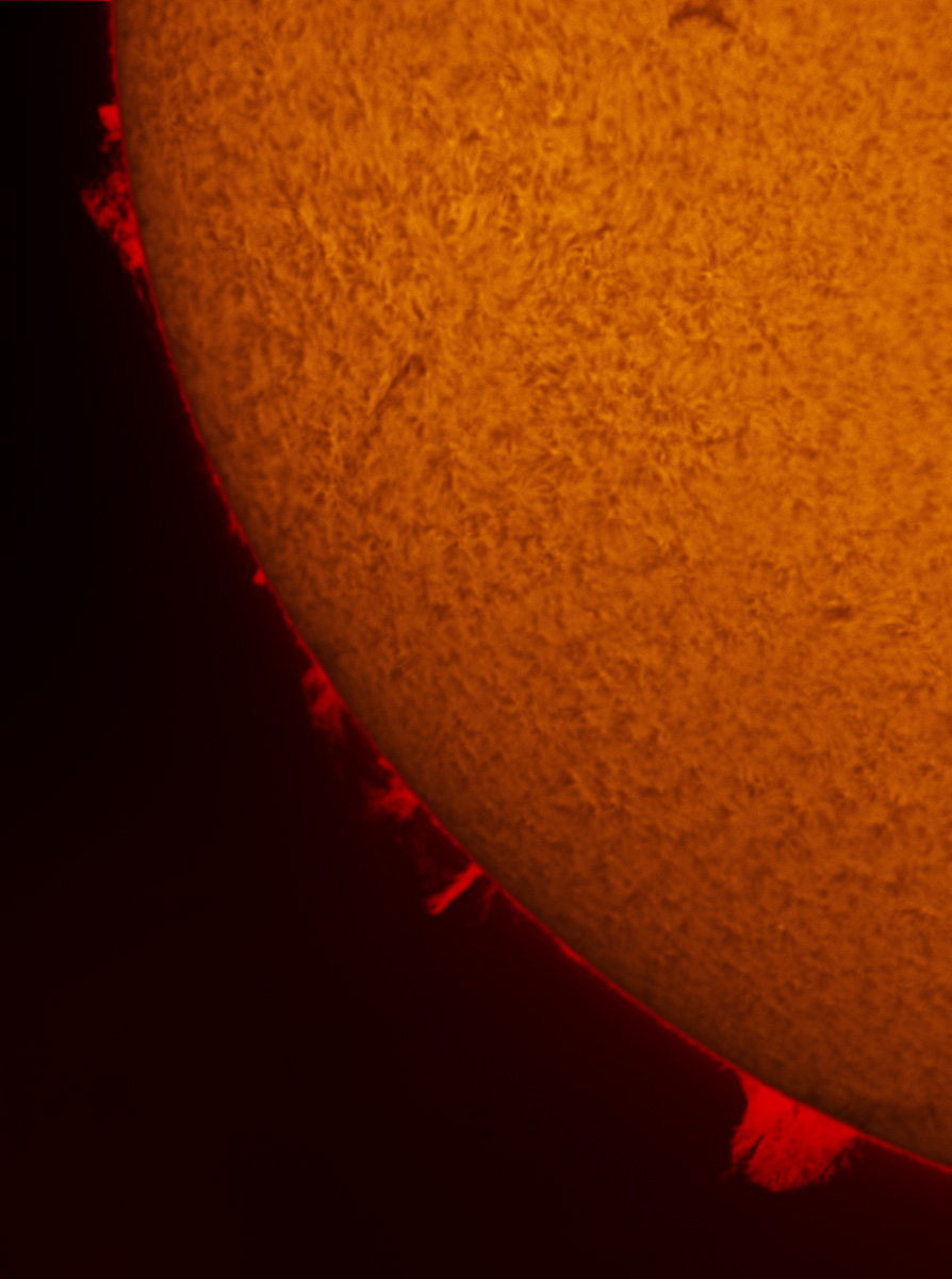 Solar Prominences in h-alpha 01/19/2013