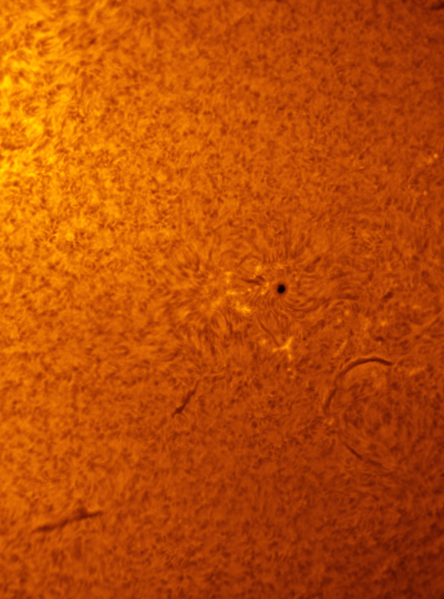 Sunspot 1658 in h-alpha 01/19/2013