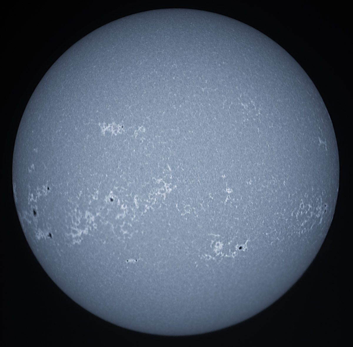 Solar Disk in CaK 01/19/2014