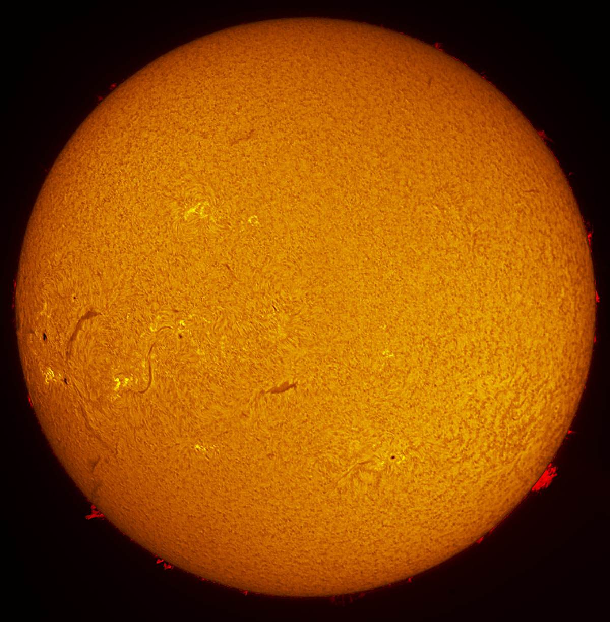 Solar Disk in h-alpha 01/19/2014