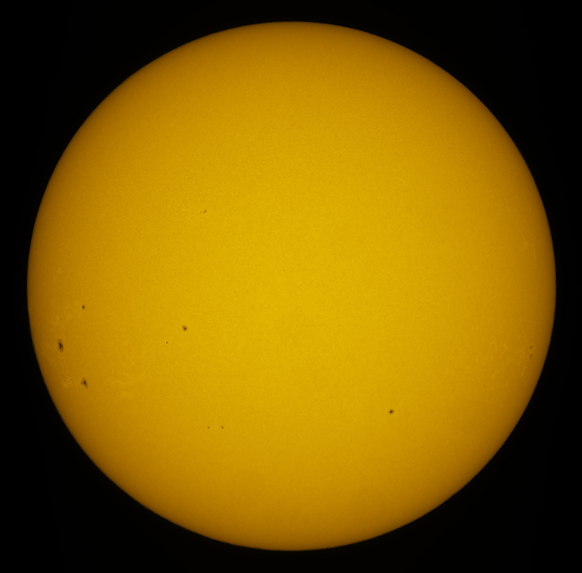 Solar Disk in white light 01/19/2014