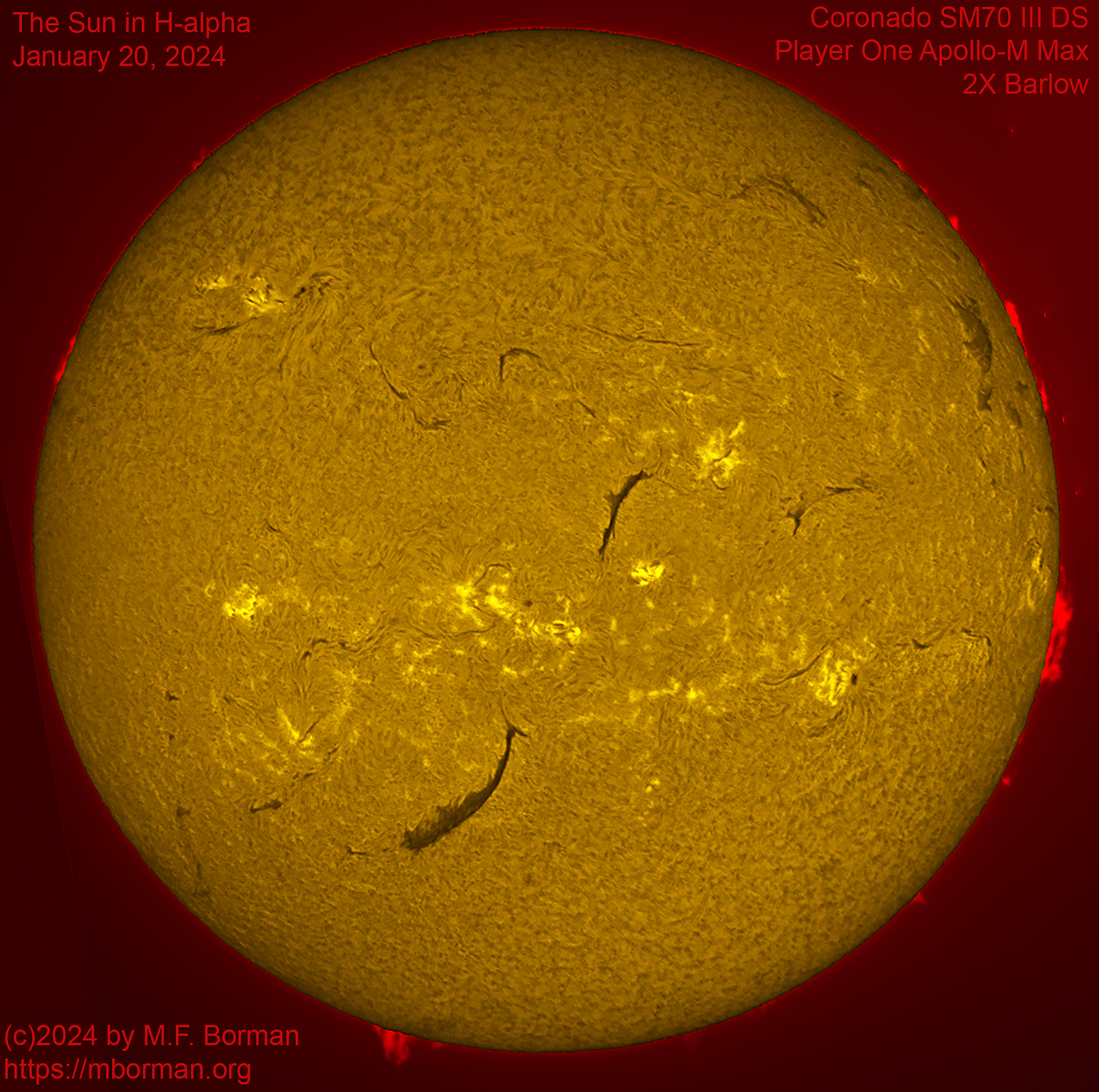 Solar image in h-alpha 01/20/2024
