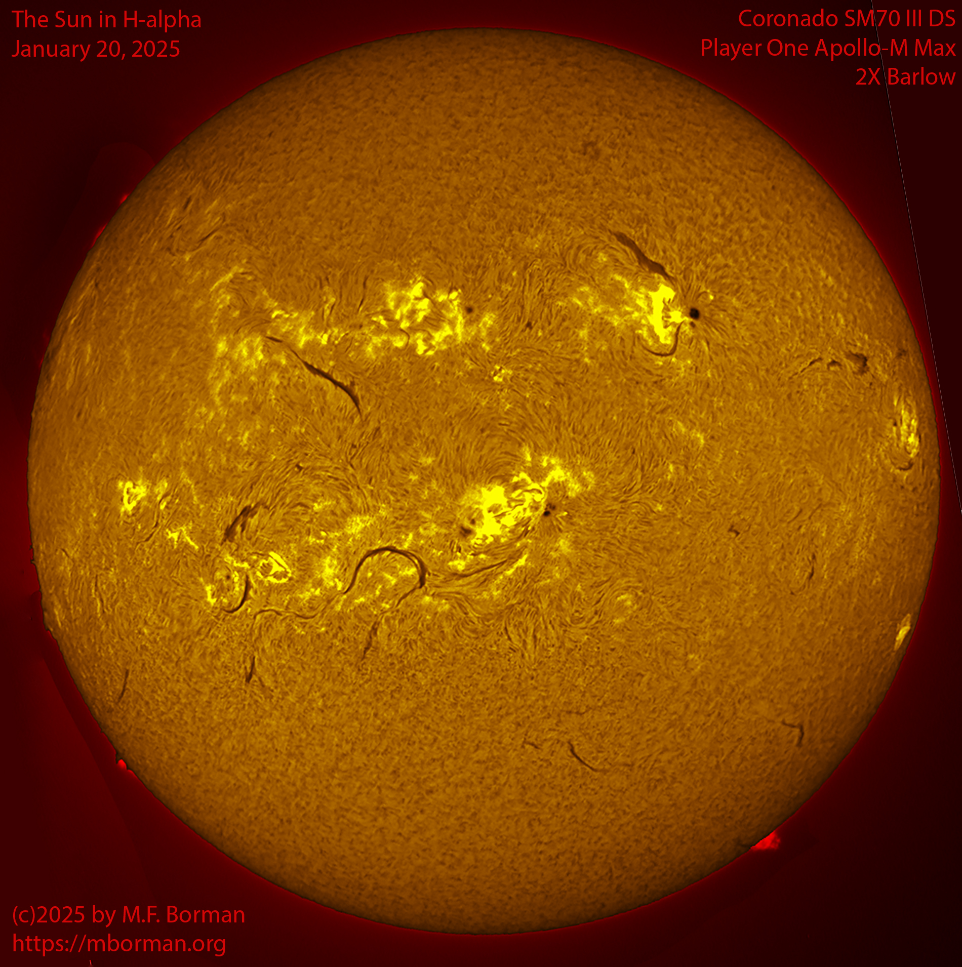 Solar image in h-alpha 01/20/25