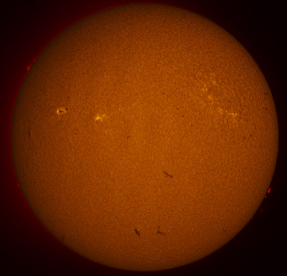 Solar Disk in h-alpha 01/21/2017