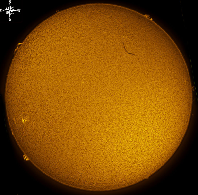 Solar Disk in h-alpha 01/29/2011