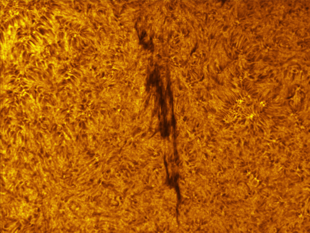 Filament in h-alpha 01/29/2012