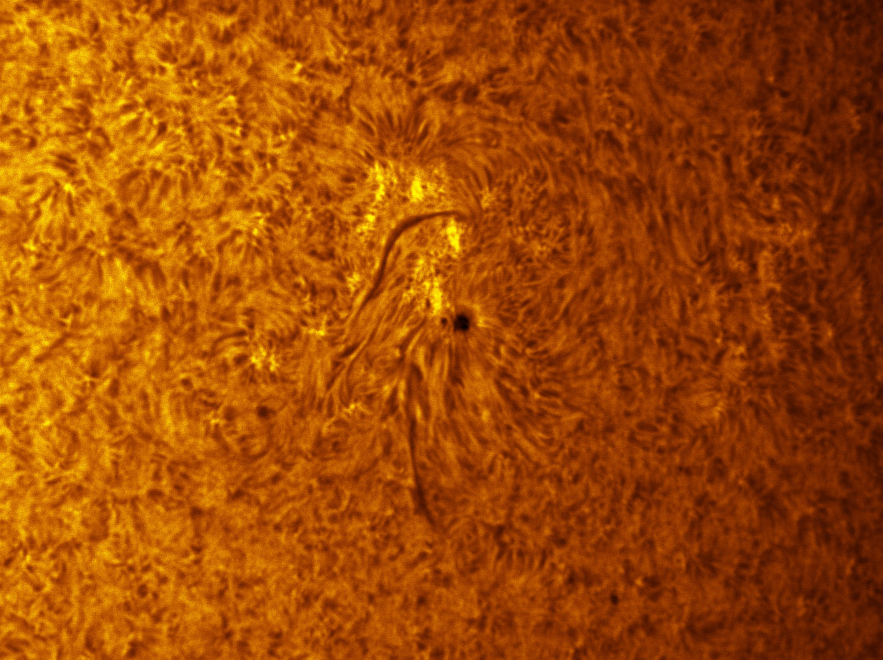 Sunspot 1408 in h-alpha 01/29/2012