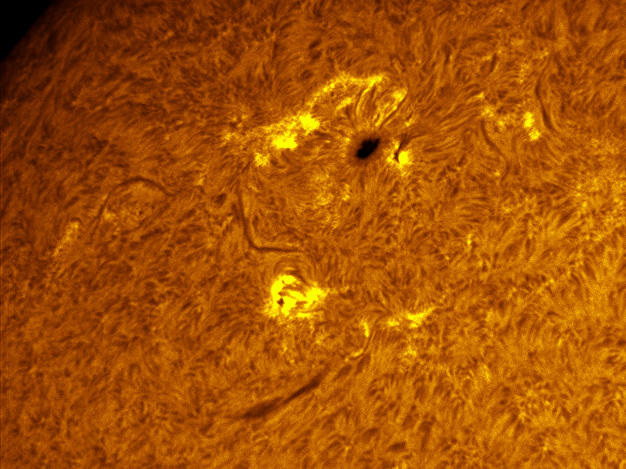 Sunspot 1410 in h-alpha 01/29/2012