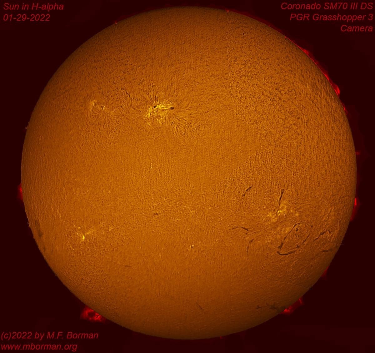 Solar disk in h-alpha 01/29/2022