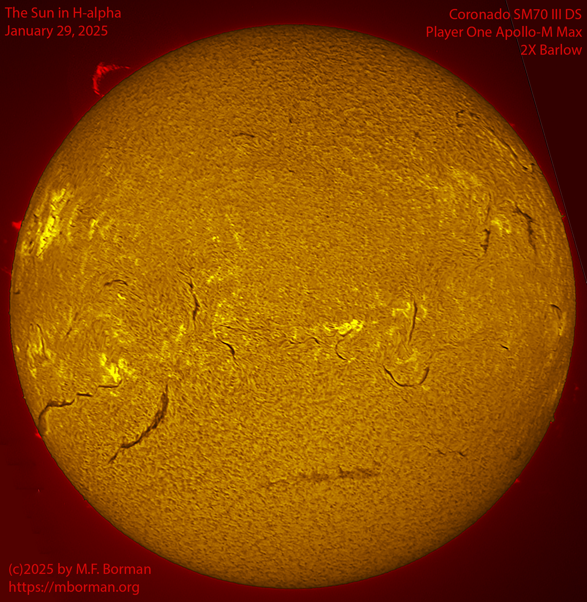 Solar image in h-alpha 01/29/25
