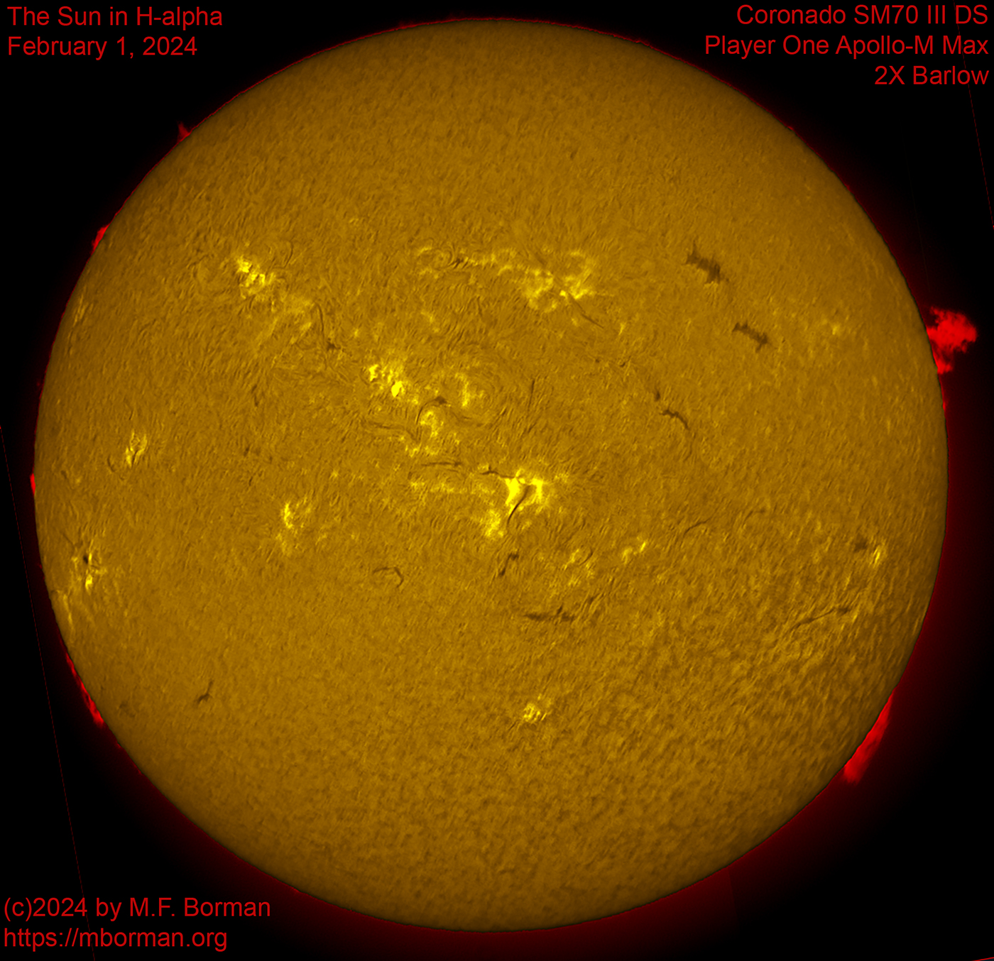 Solar image in h-alpha 02/01/2024