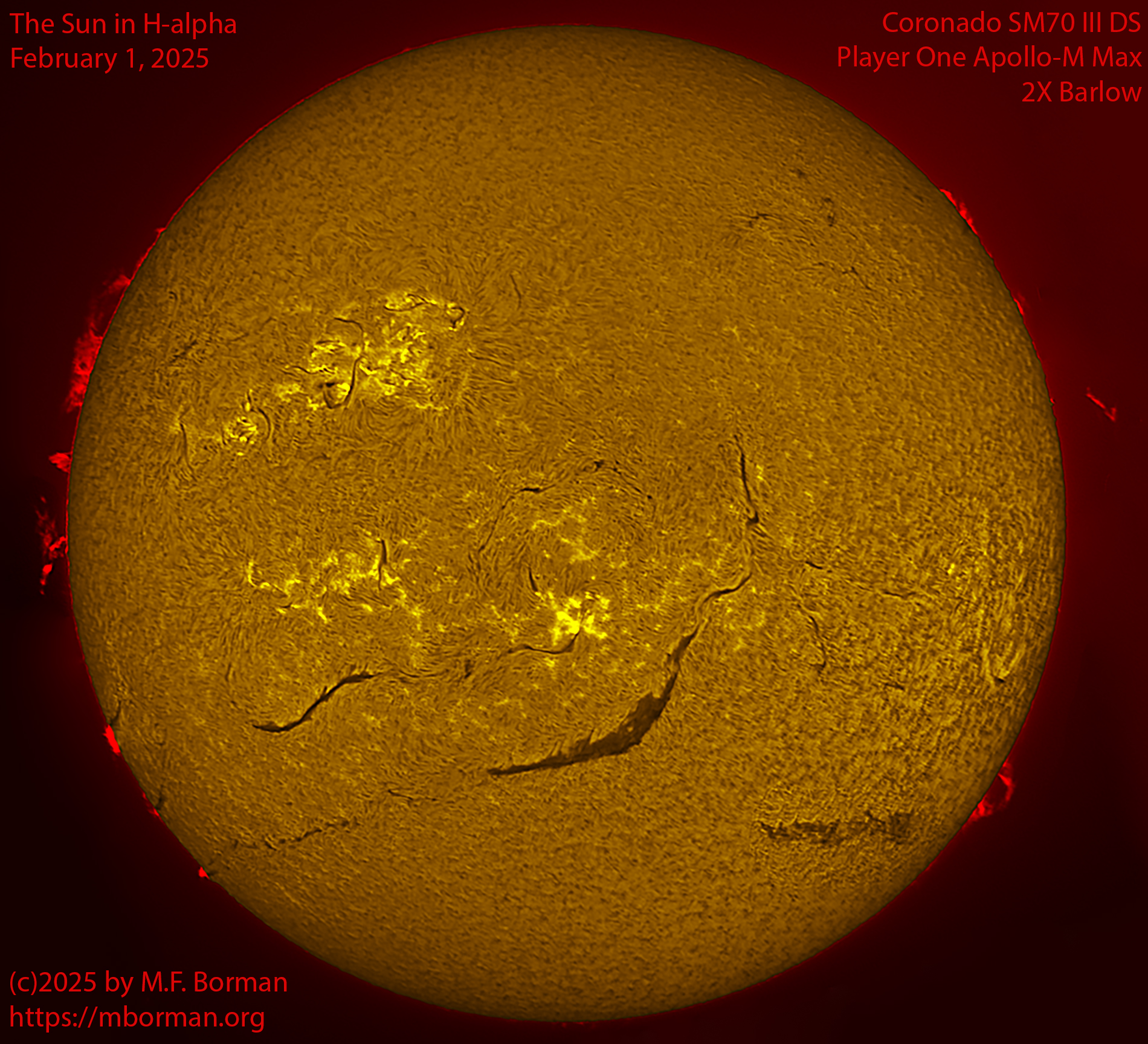 Solar image in h-alpha 02/01/25