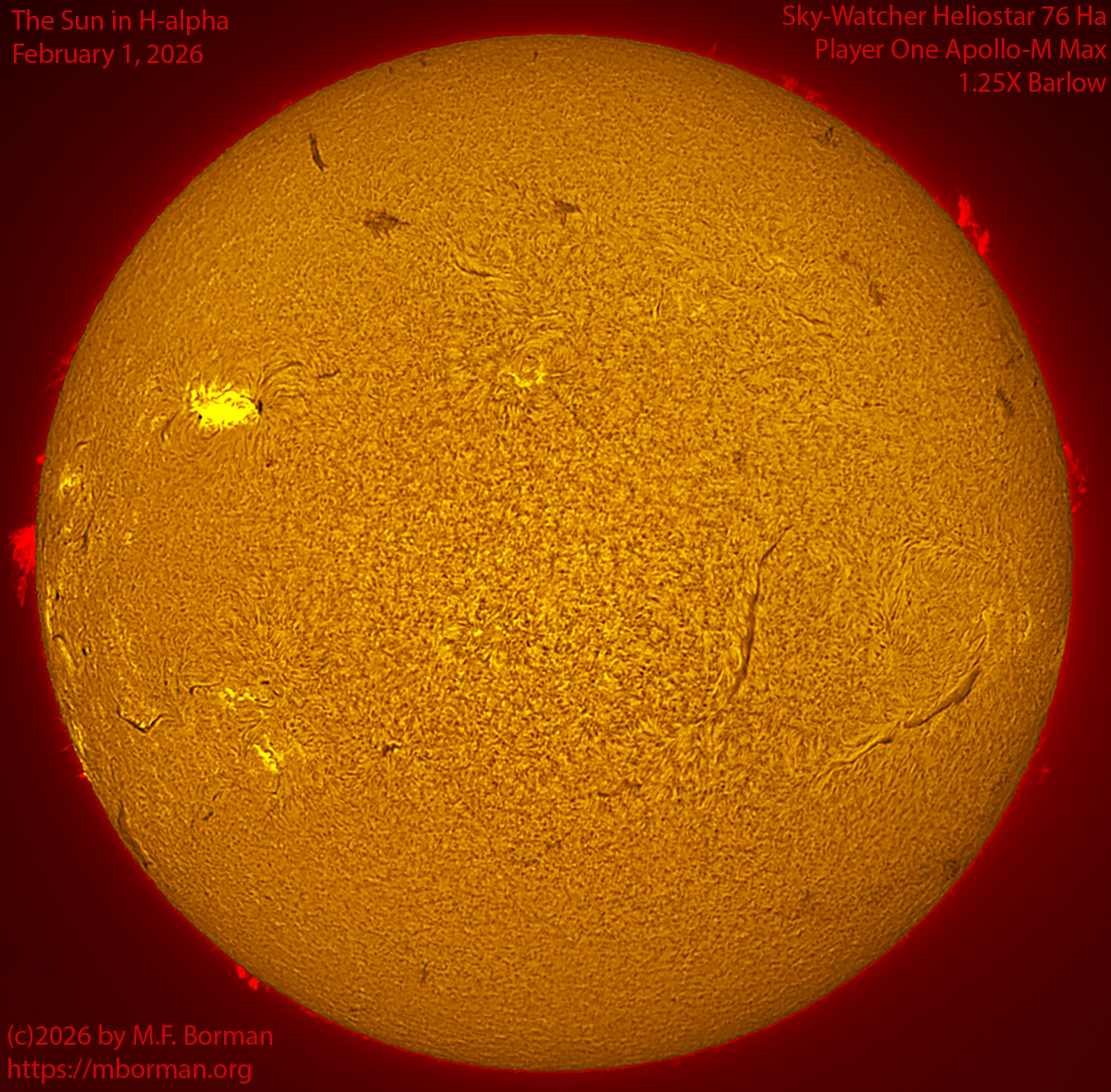 Solar image in h-alpha 02/01/26