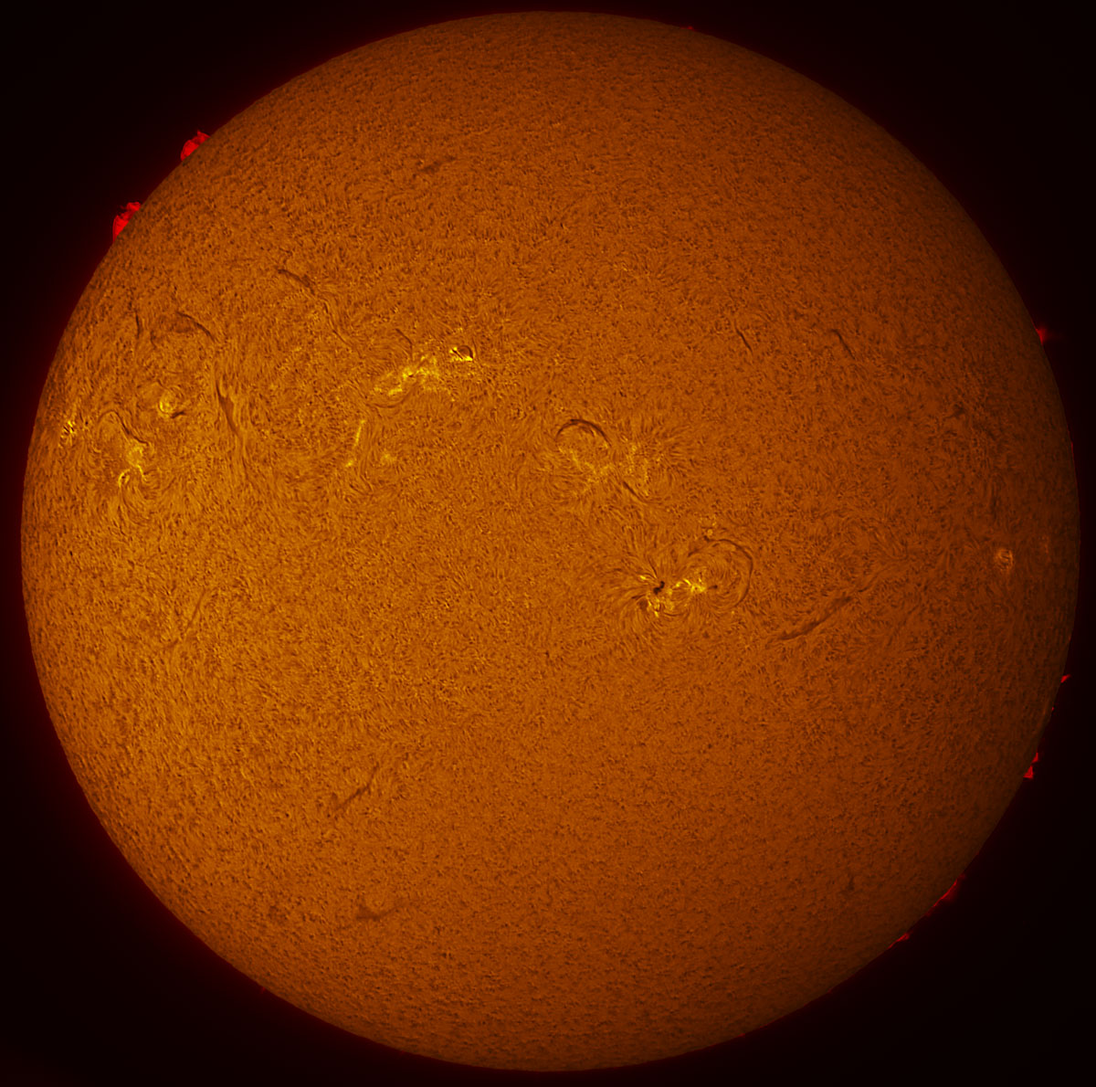 Solar Disk in h-alpha 02/06/2015