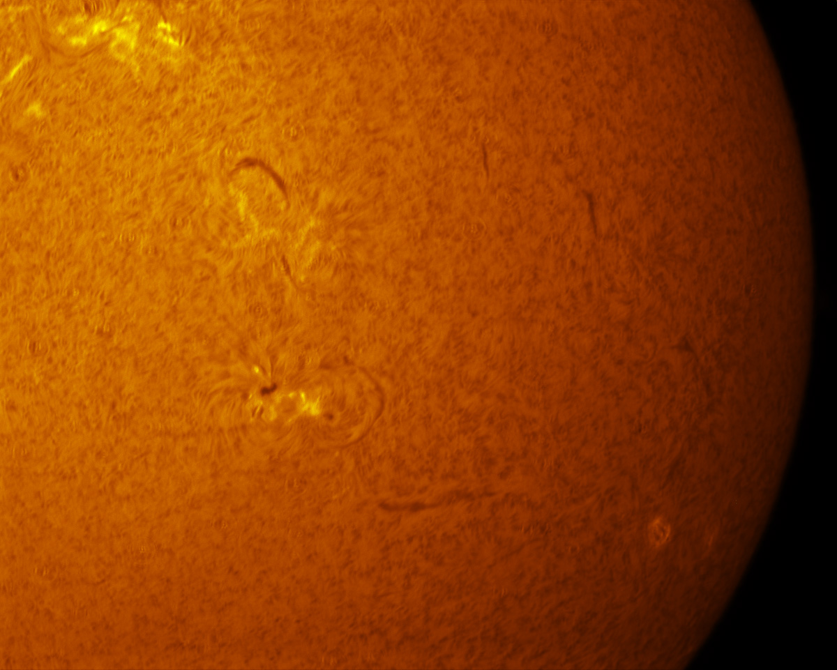 Sunspot 2494 in h-alpha 02/06/2016
