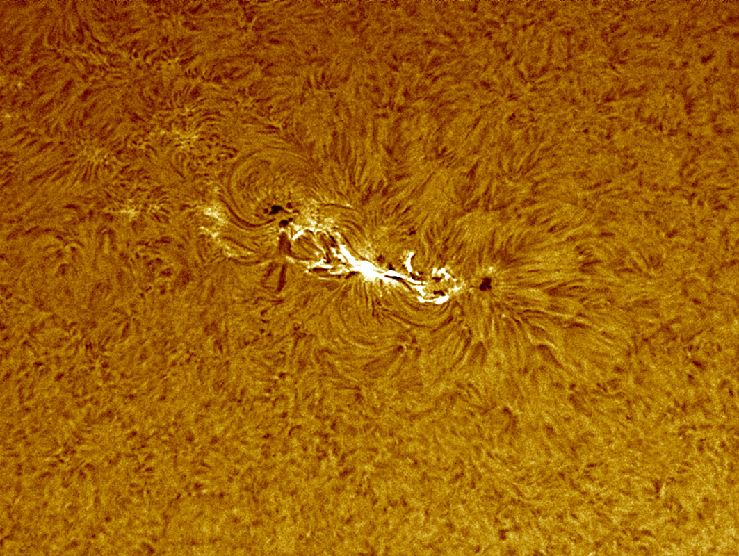 Sunspot 1045 with flare in h-alpha 2/7/2010