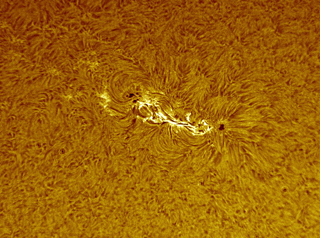 Sunspot 1045 in h-alpha 2/7/2010