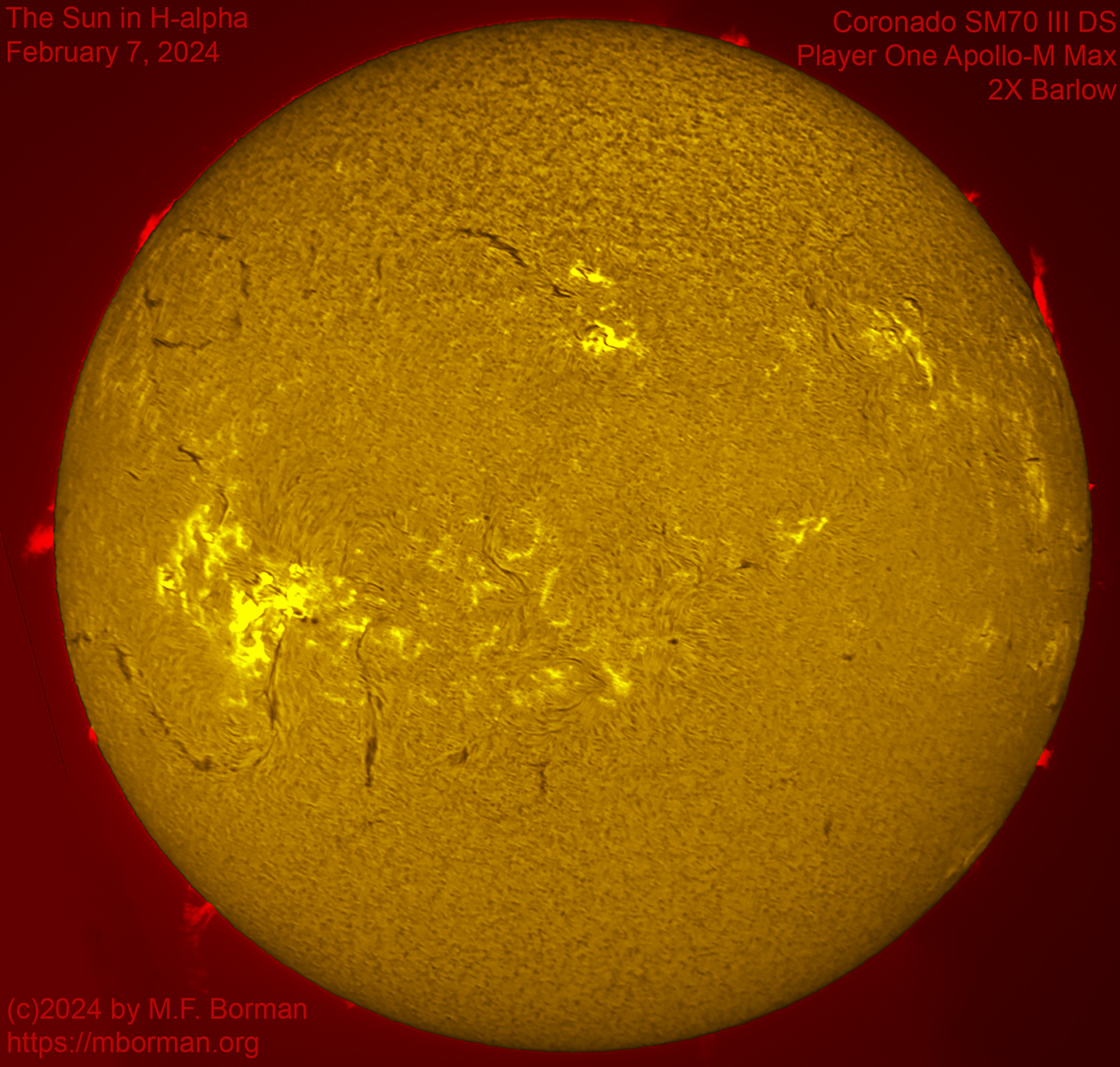 Solar image in h-alpha 02/07/2024