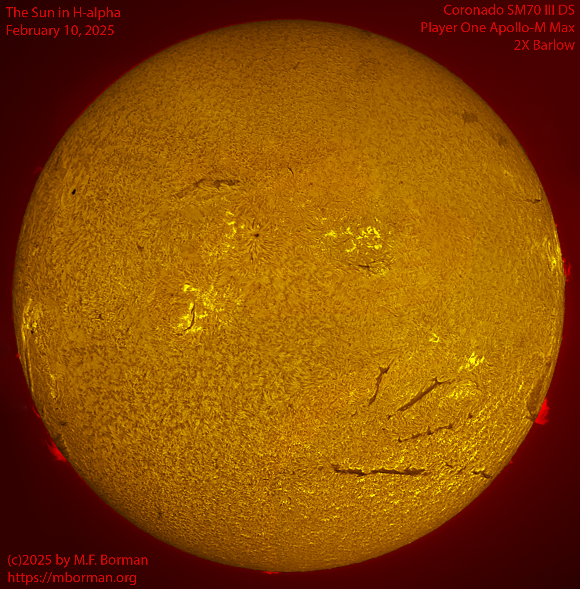 Solar image in h-alpha 02/10/25