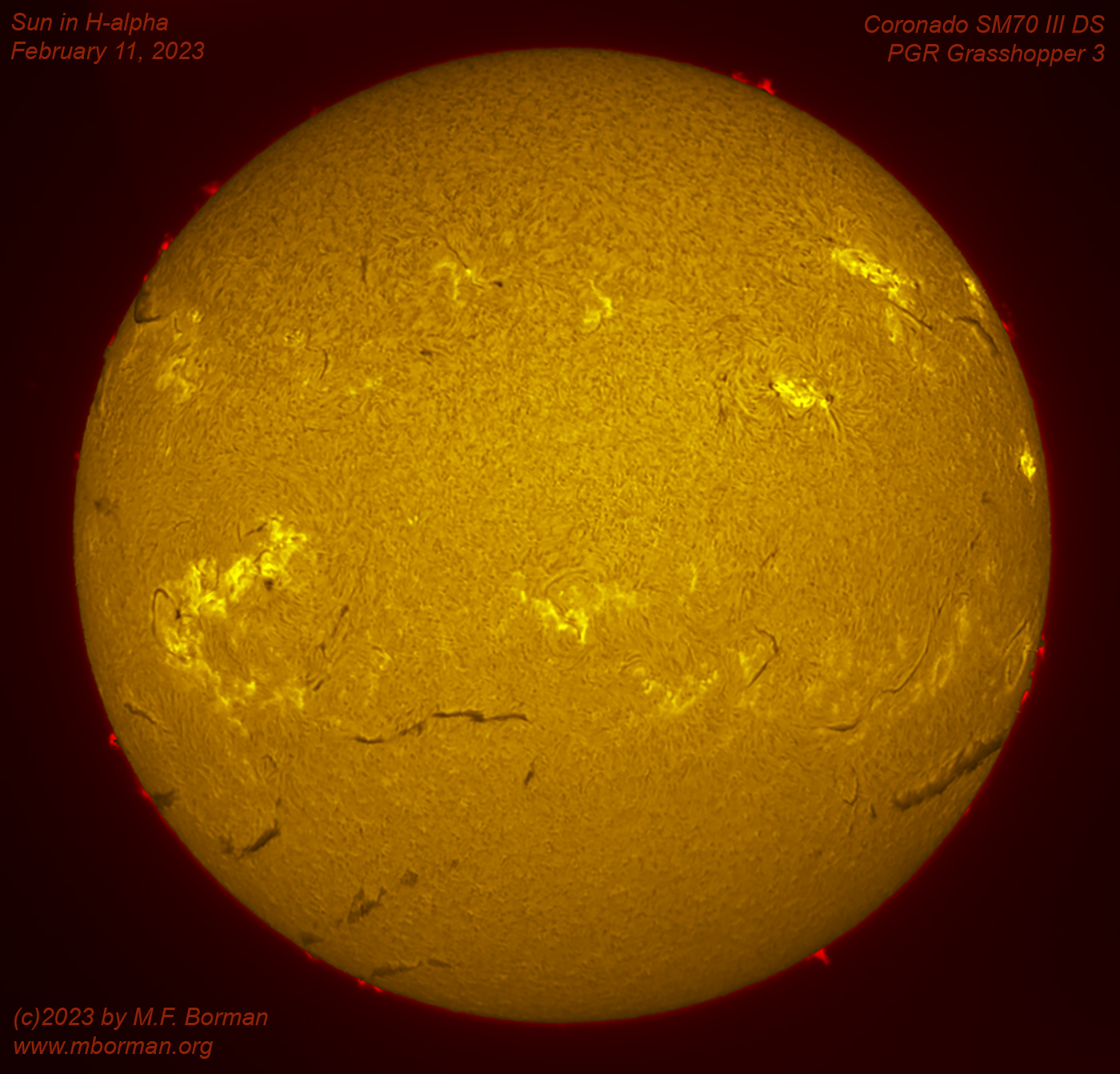 Solar disk in h-alpha 02/11/2023