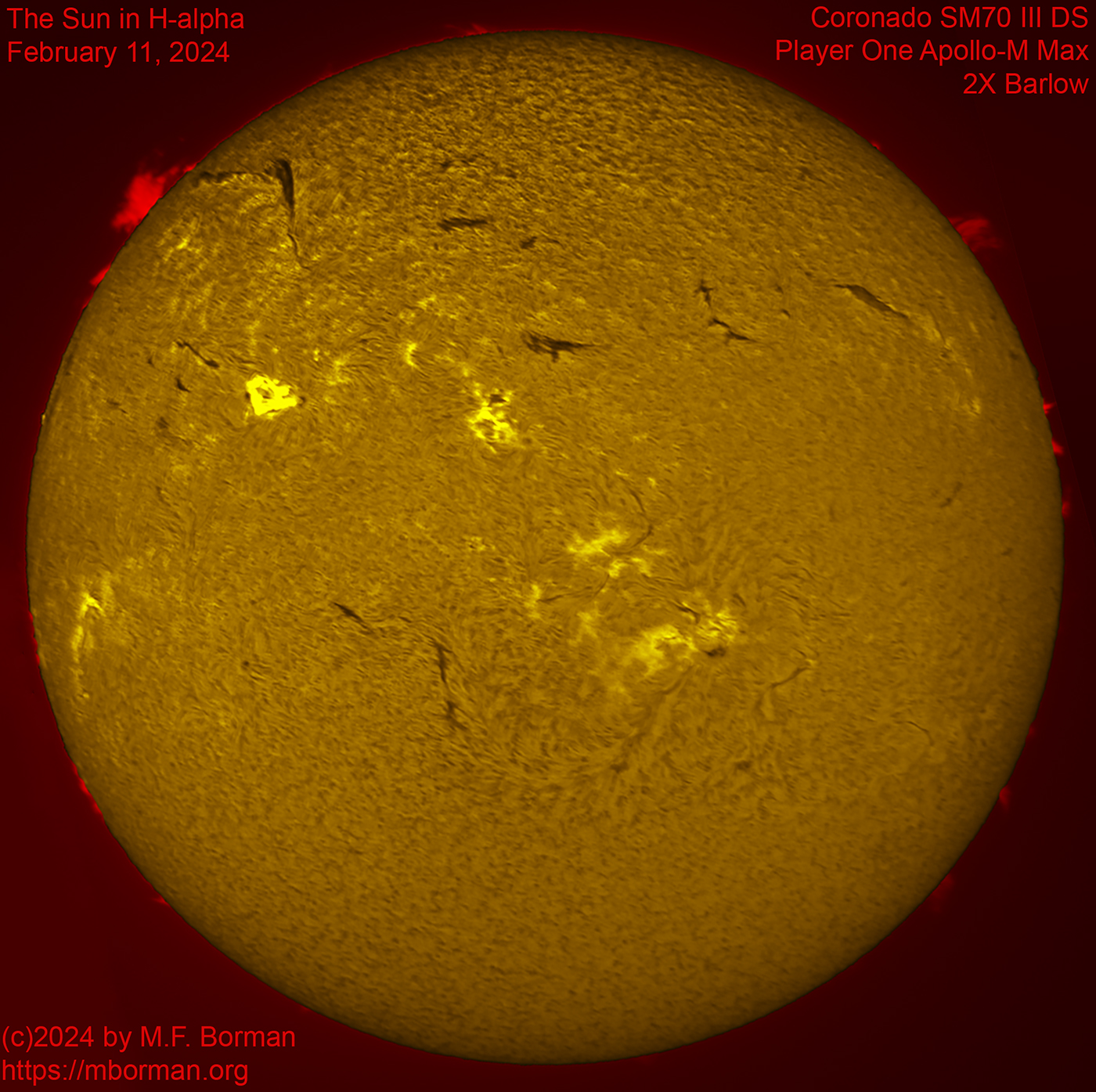 Solar image in h-alpha 02/11/2024