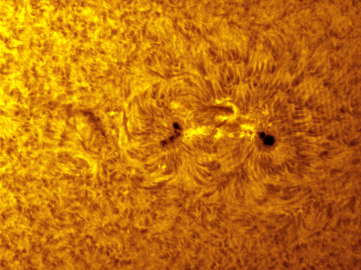 Sunspot 1416 in h-alpha 02/12/2012