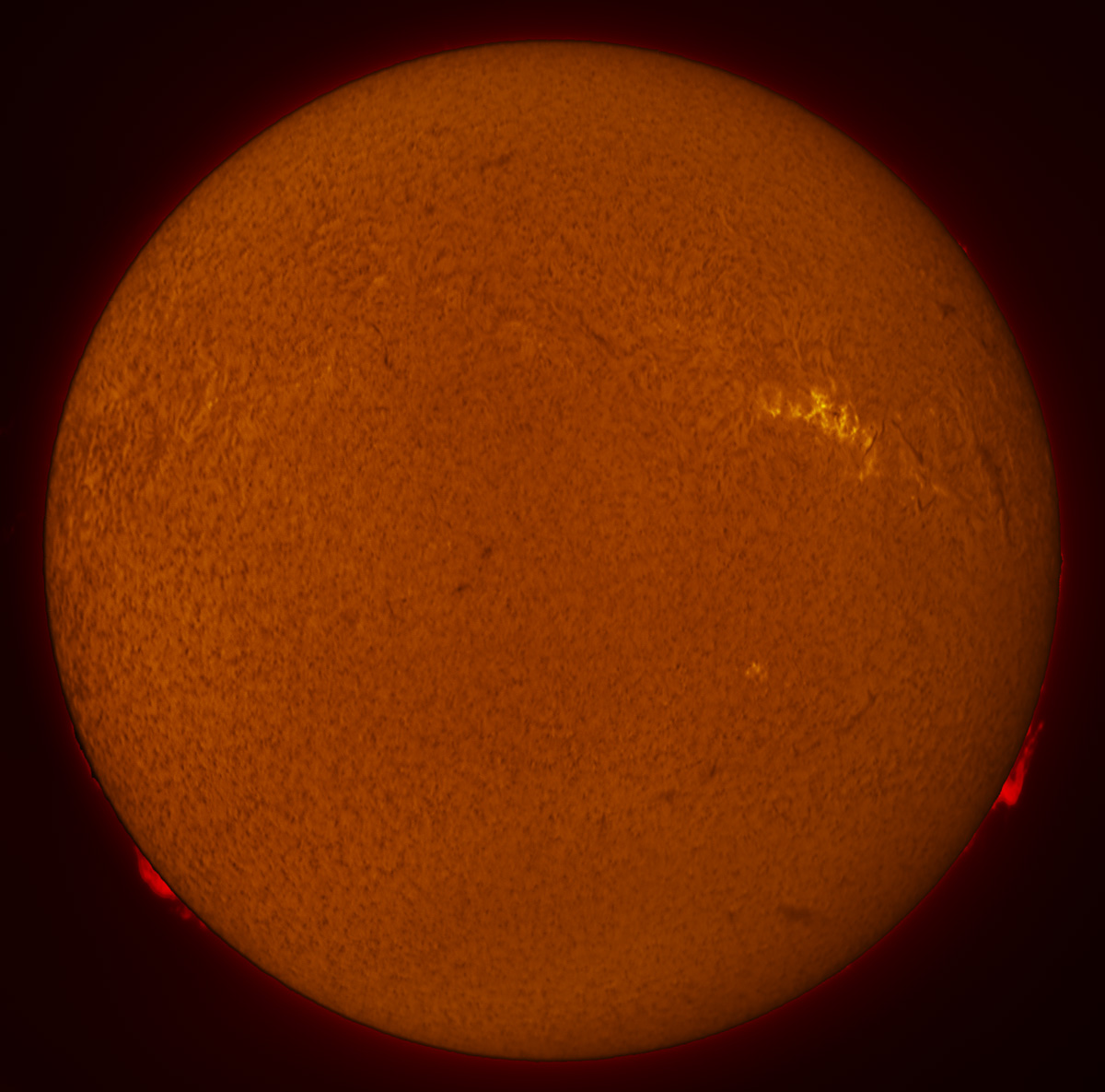 Solar Disk in h-alpha 02/13/2016